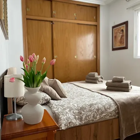 아파트 Del Mar 또레비에하